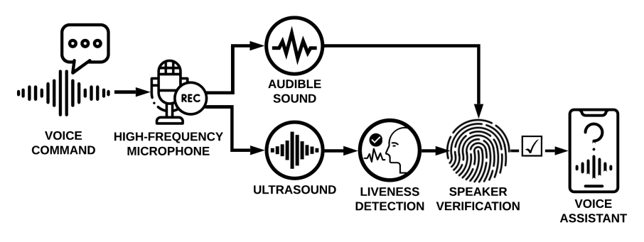 Remote Cardiac Auscultation